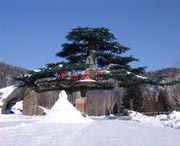 牡丹天气预报30天